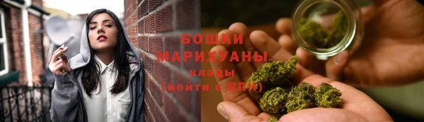 МДПВ Сосновоборск