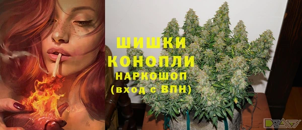 МДПВ Сосновоборск
