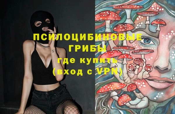 МДПВ Сосновоборск