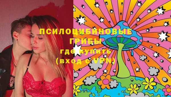таблы Сосновка
